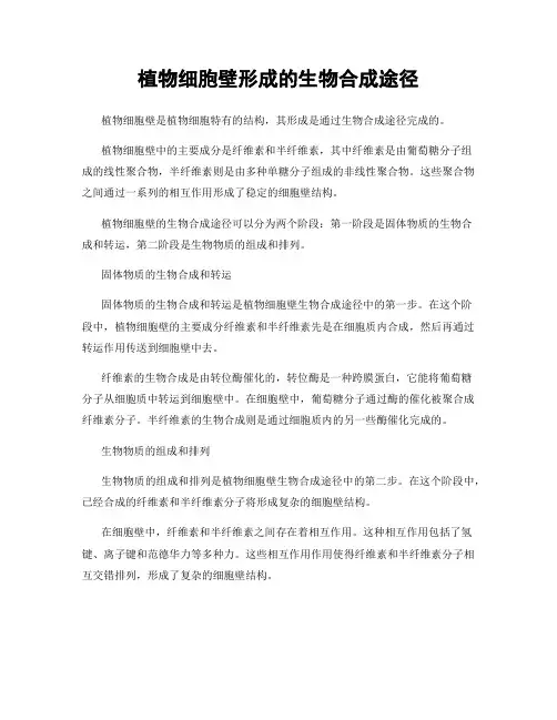 植物细胞壁形成的生物合成途径