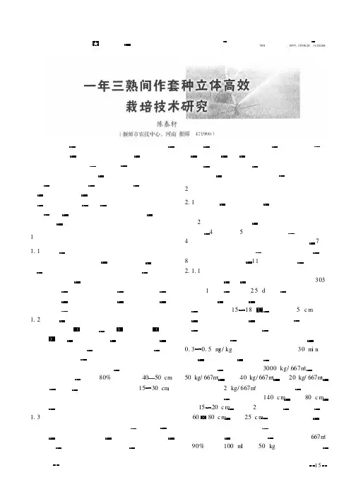 一年三熟间作套种立体高效栽培技术研究