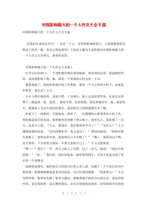 对我影响最大的一个人作文大全5篇