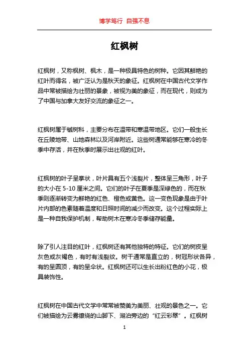 红枫树_精品文档