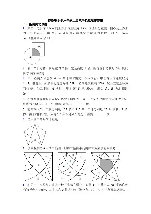 苏教版小学六年级上册数学奥数题带答案