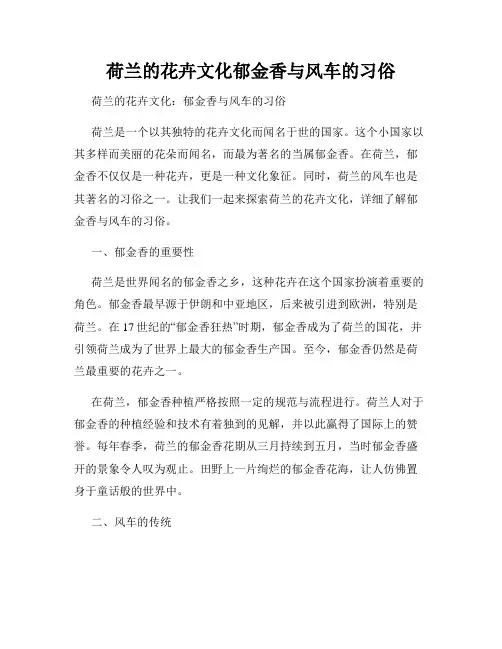 荷兰的花卉文化郁金香与风车的习俗