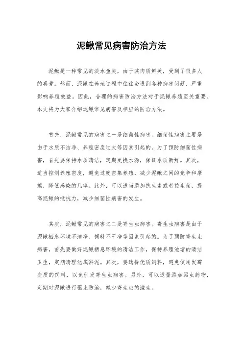 泥鳅常见病害防治方法