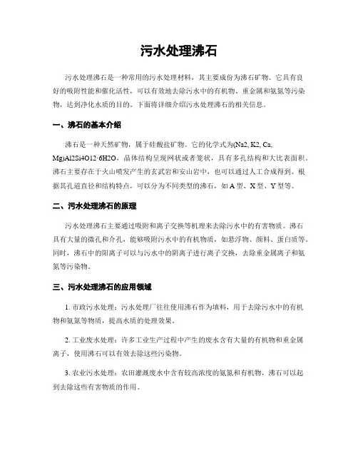 污水处理沸石