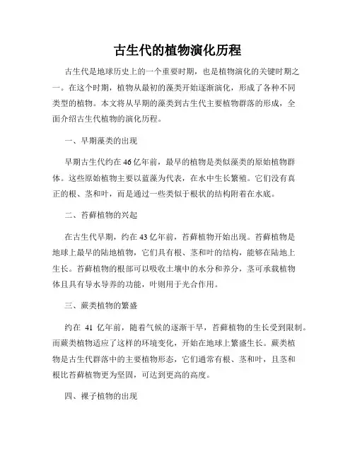 古生代的植物演化历程