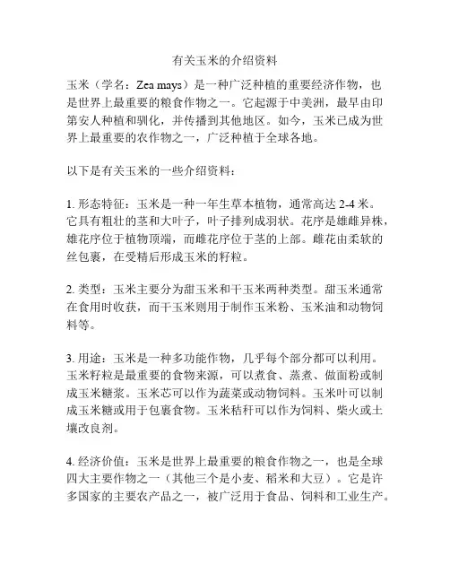 有关玉米的介绍资料