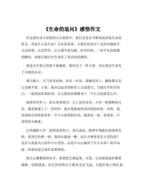 《生命的追问》感悟作文