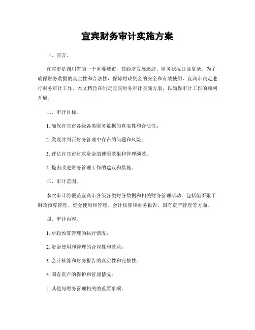 宜宾财务审计实施方案