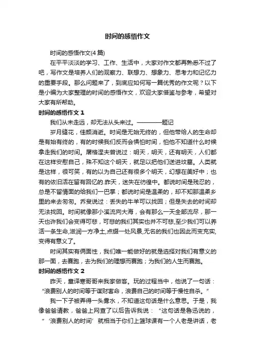 时间的感悟作文（4篇）