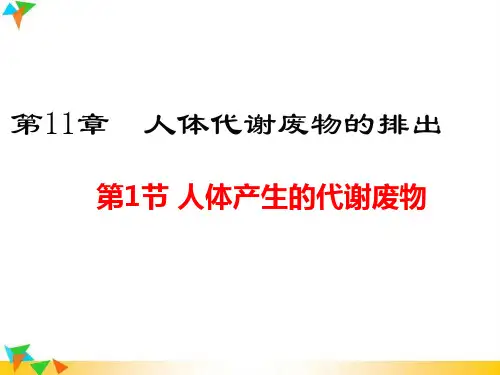 北师大版七年级下册生物：第11章  人体代谢废物的排出 教学课件