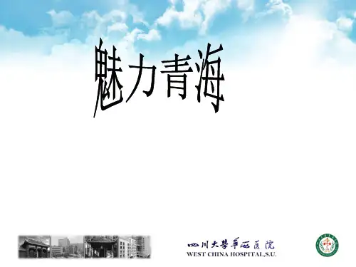 青海ppt