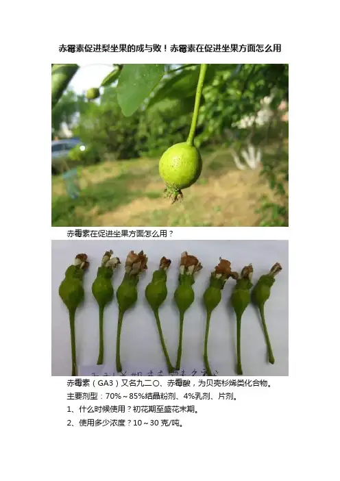 赤霉素促进梨坐果的成与败！赤霉素在促进坐果方面怎么用