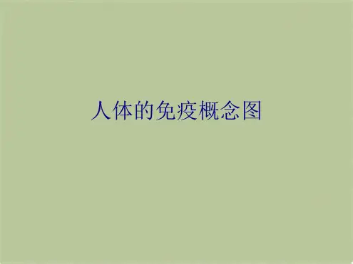 人体的免疫概念图(共5张PPT)