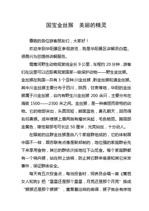 国宝金丝猴