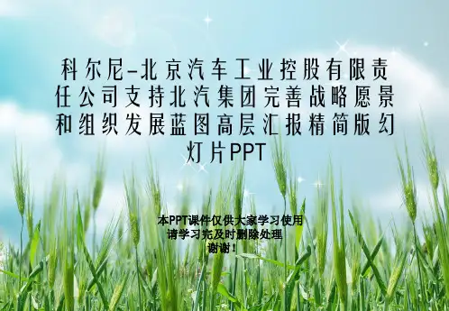 科尔尼-北京汽车工业控股有限责任公司支持北汽集团完善战略愿景和组织发展蓝图高层汇报精简版幻灯片PPT