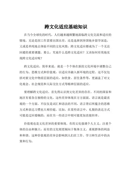 跨文化适应基础知识