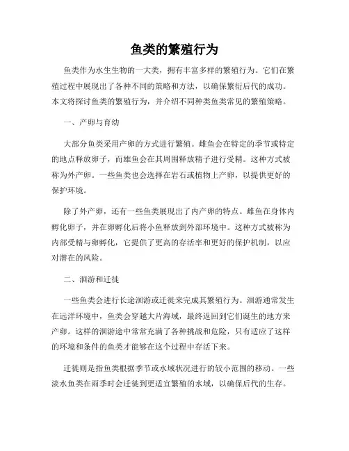 鱼类的繁殖行为