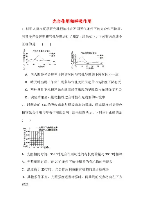 高考生物专题 光合作用和呼吸作用【有答案】