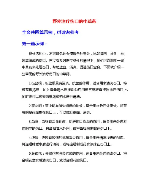 野外治疗伤口的中草药