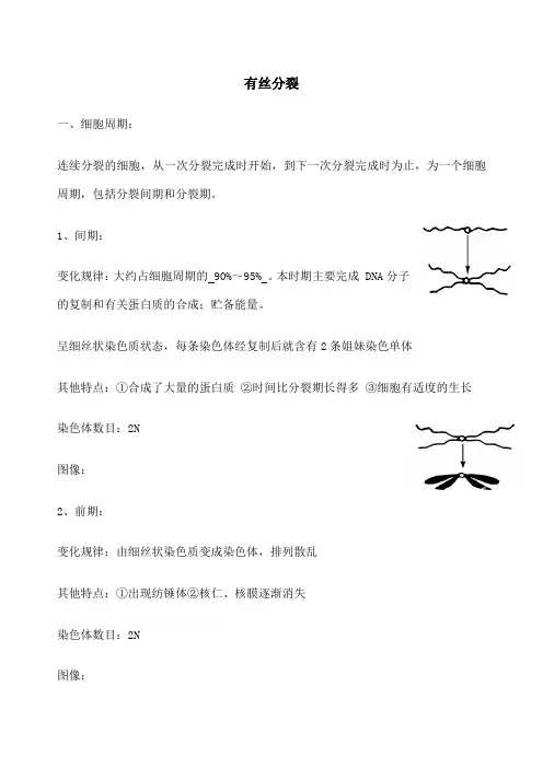 有丝分裂知识点归纳 