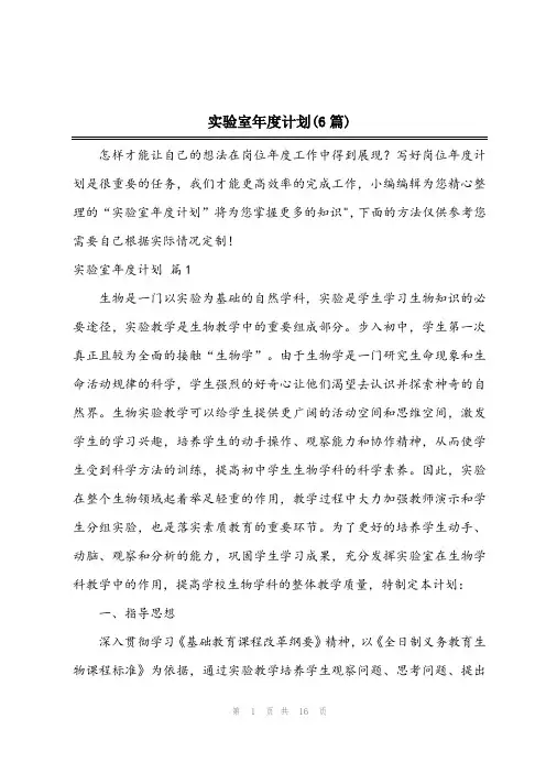 2024年实验室年度计划(6篇)