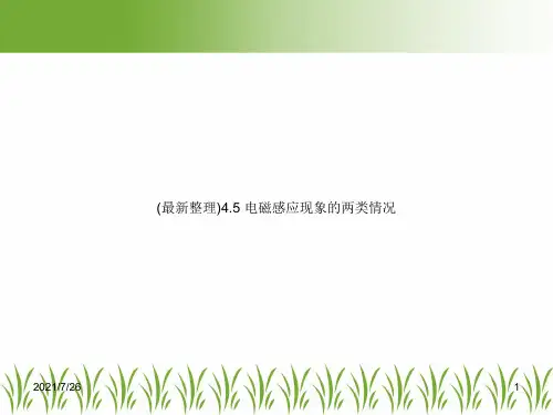 (最新整理)4.5 电磁感应现象的两类情况