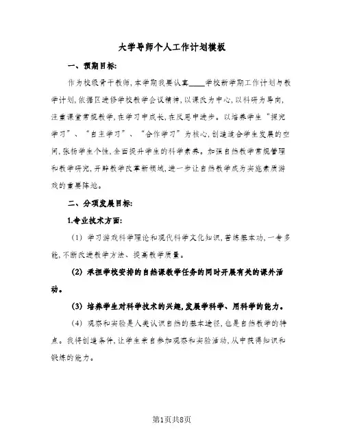 2024年大学导师个人工作计划模板(五篇)