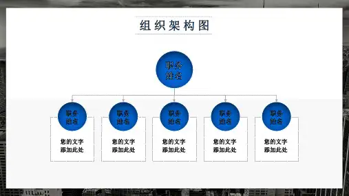 国有企业组织架构设置ppt