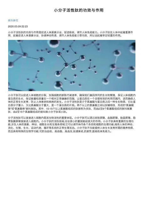小分子活性肽的功效与作用