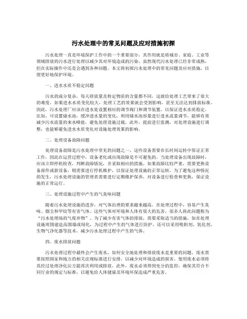 污水处理中的常见问题及应对措施初探