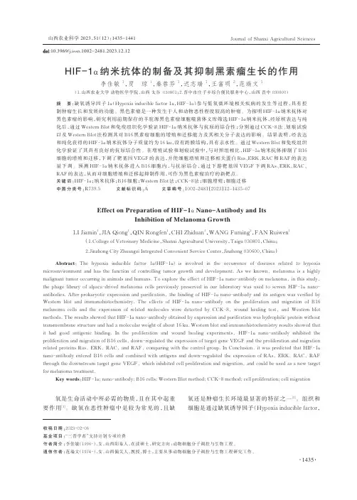 HIF-1α_纳米抗体的制备及其抑制黑素瘤生长的作用