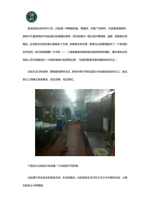 上海白蚁防治中心教你怎样才能彻底根除白蚁