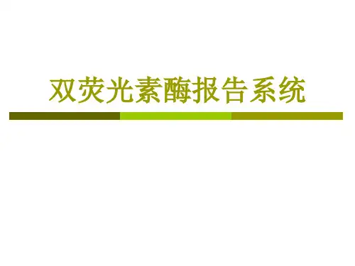 双荧光素酶系统实验操作步骤及方法-
