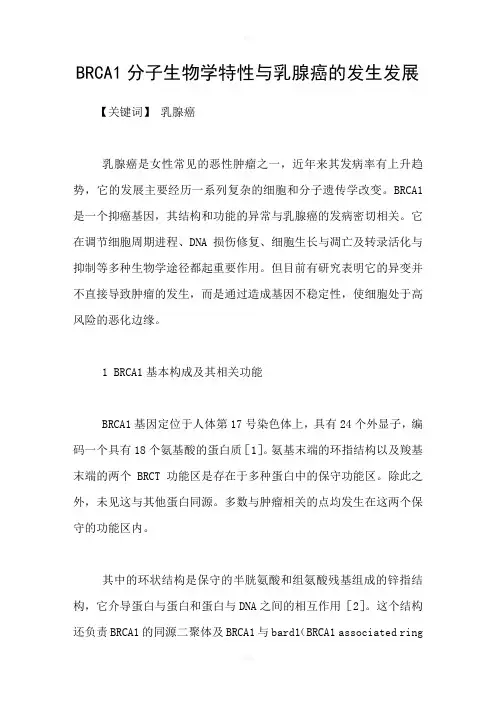 BRCA1分子生物学特性与乳腺癌的发生发展