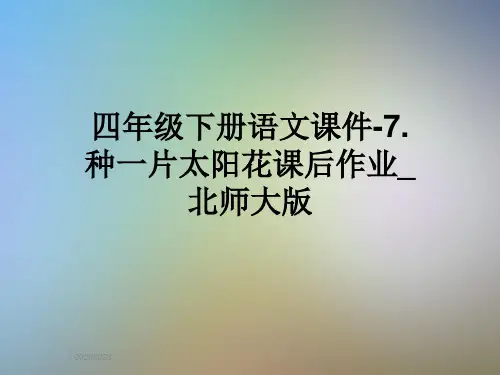 四年级下册语文课件-7.种一片太阳花课后作业_北师大版