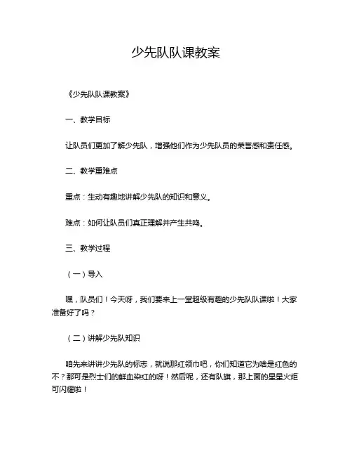 少先队队课教案
