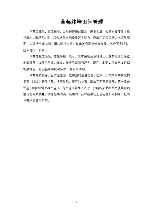 草莓栽培田间管理