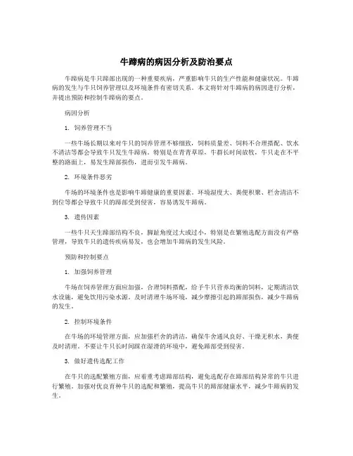 牛蹄病的病因分析及防治要点