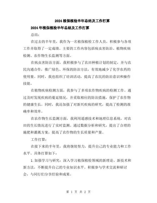 2024植保植检半年总结及工作打算