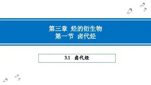 卤代烃ppt课件