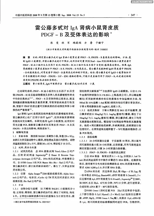 雷公藤多甙对IgA肾病小鼠肾皮质PDGF-B及受体表达的影响