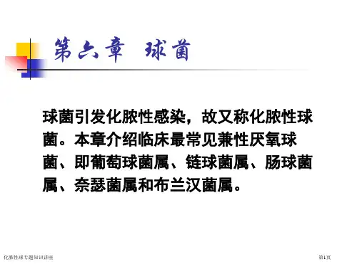 化脓性球专题知识讲座
