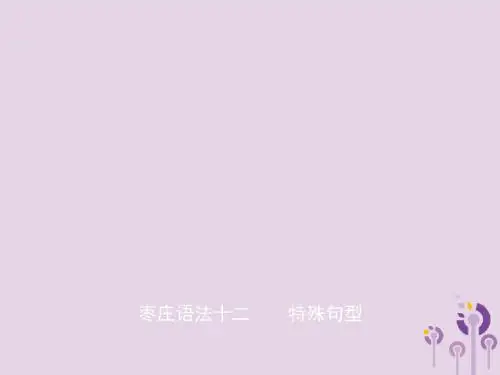 山东省枣庄市2019年中考英语总复习语法十二特殊句型课件