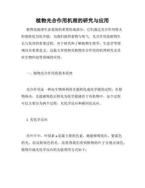 植物光合作用机理的研究与应用