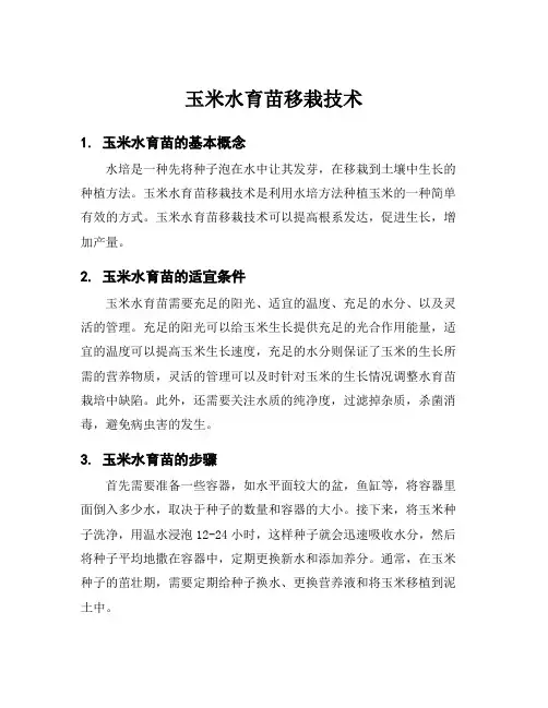 玉米水育苗移栽技术