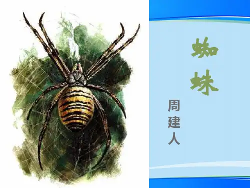 《蜘蛛》PPT【推荐下载课件】
