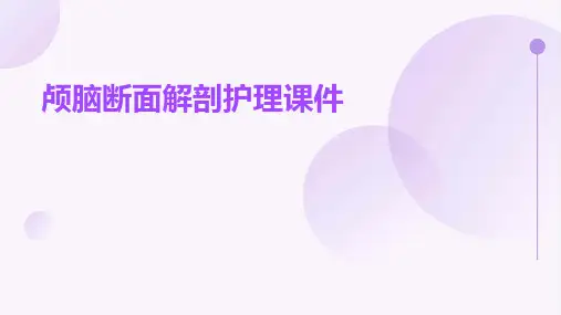 颅脑断面解剖护理课件
