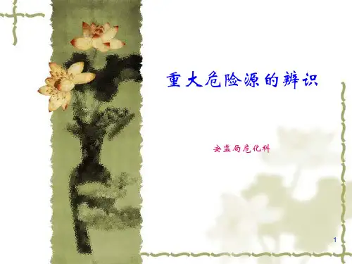 重大危险源辨识