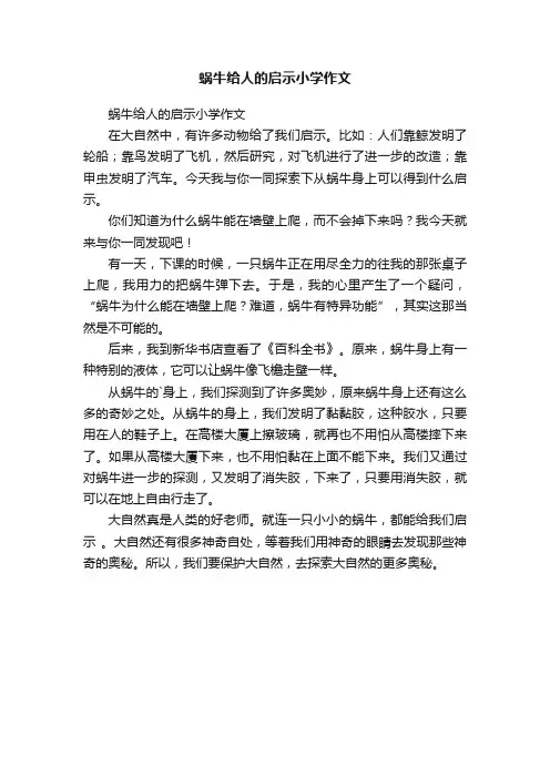 蜗牛给人的启示小学作文