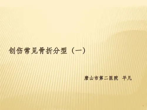 骨折AO分型